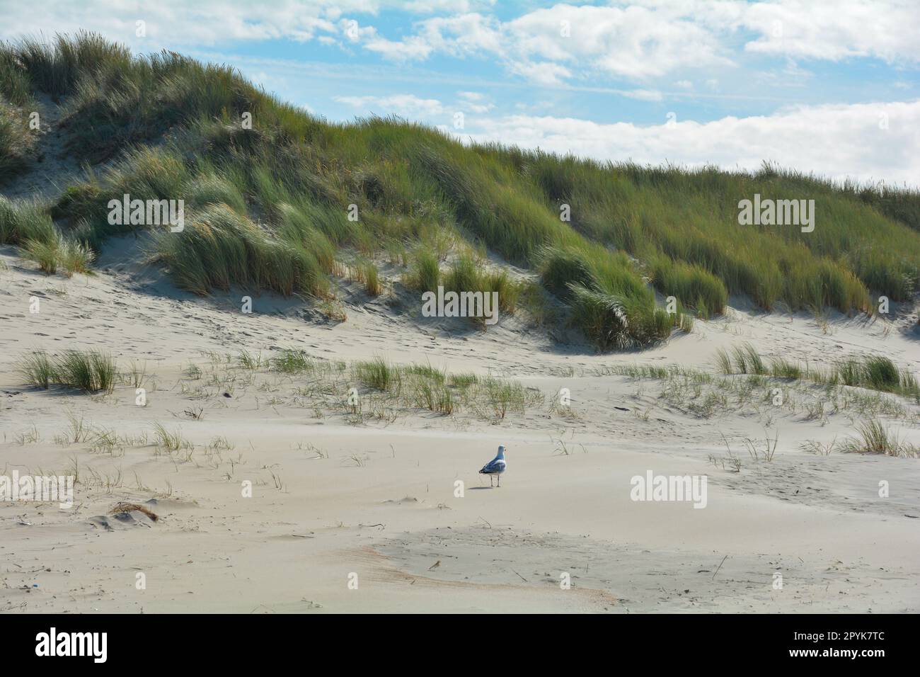Blue sea sandy beach holidays hi-res stock photography and images - Alamy