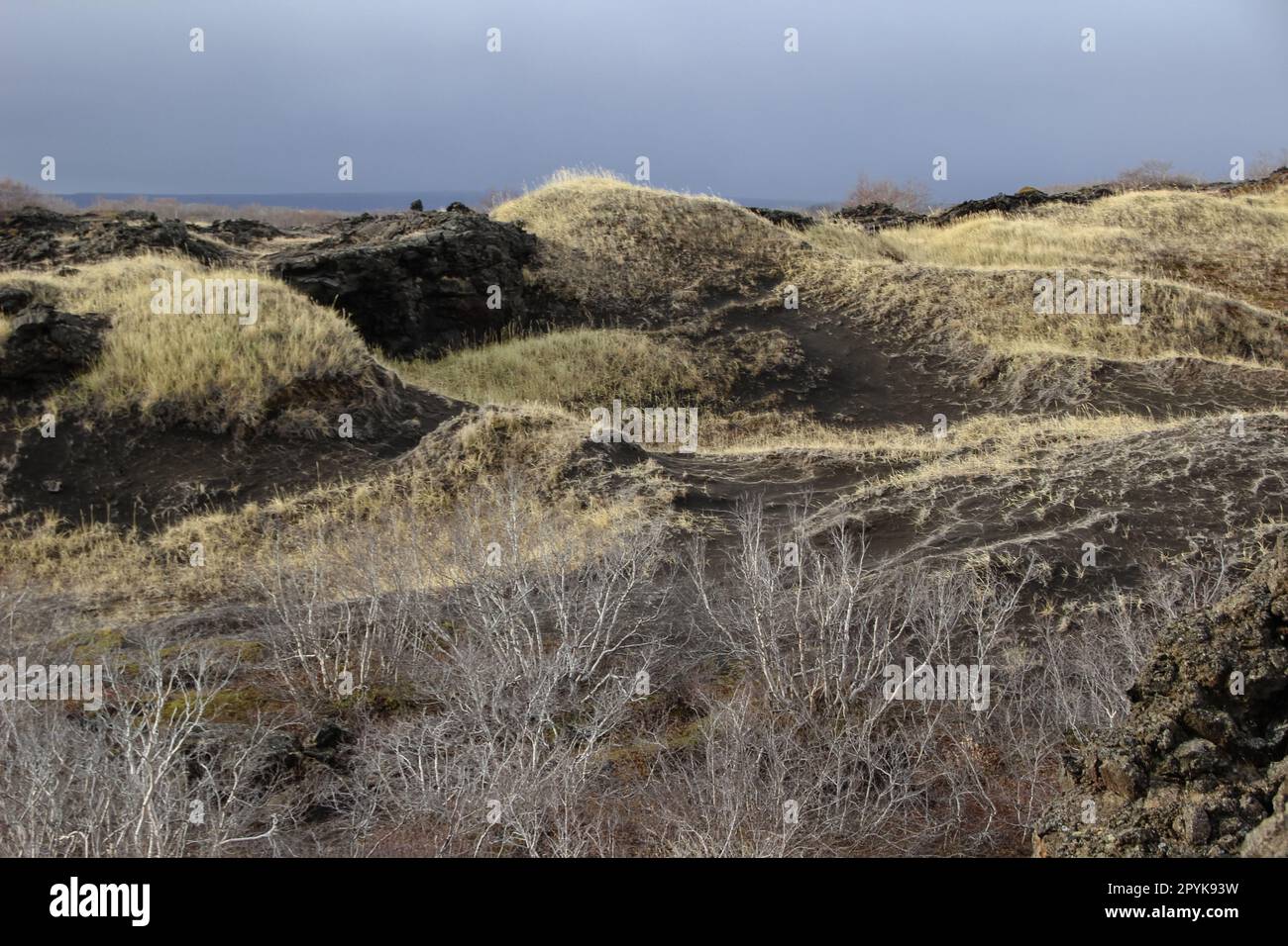 Grass ground close hi-res stock photography and images - Alamy
