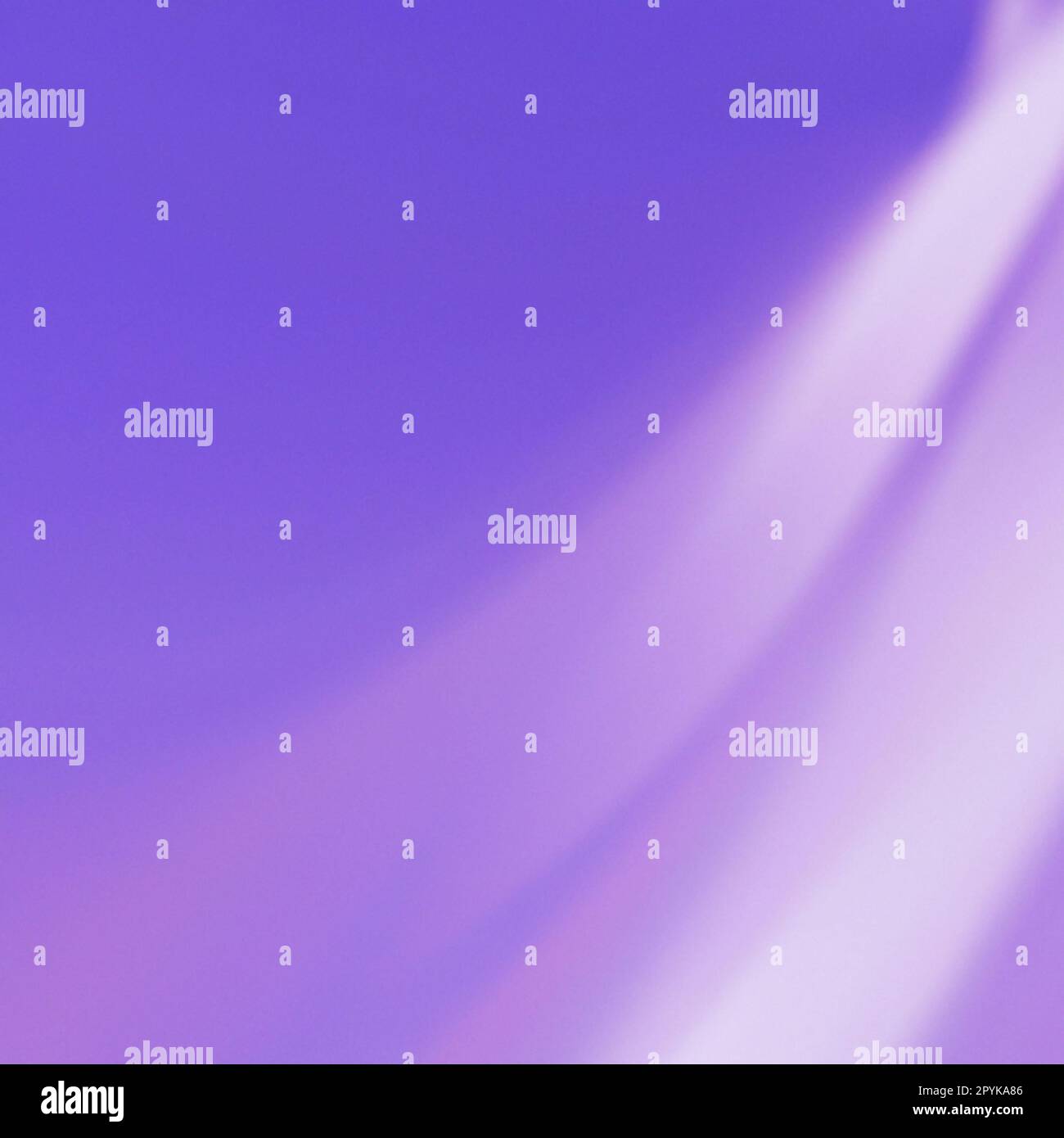 Lavender color pink purple beautiful abstract gradient background with