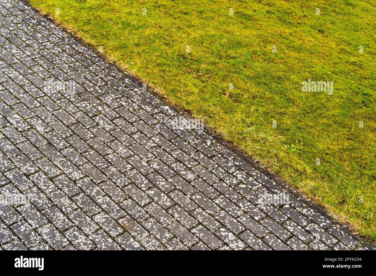 Abstract background with sidewalk and green grass Stock Photo Alamy