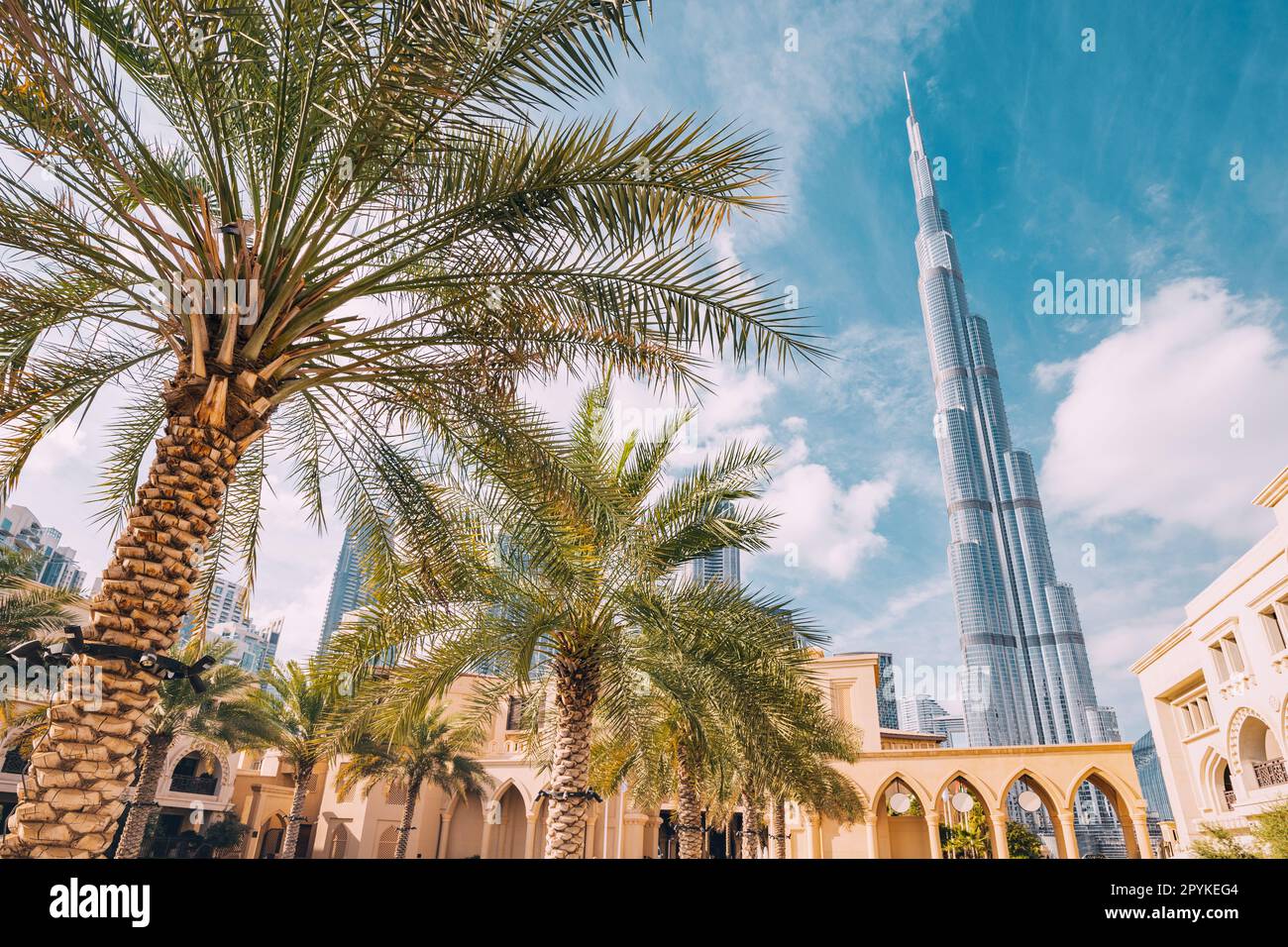 Burj Khalifa highest building in the world against blue sky with palm