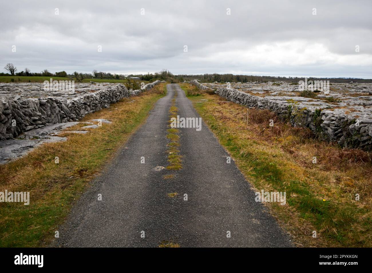 small country road bounded by dry stone walls through the burren county clare republic of ireland Stock Photo