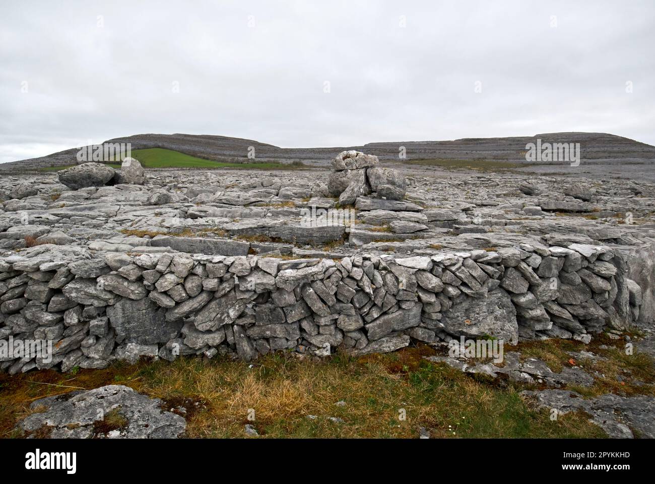dry stone wall made of local limestone field land boundary with glacial erratic rocks on the limestone pavement the burren county clare republic of ir Stock Photo