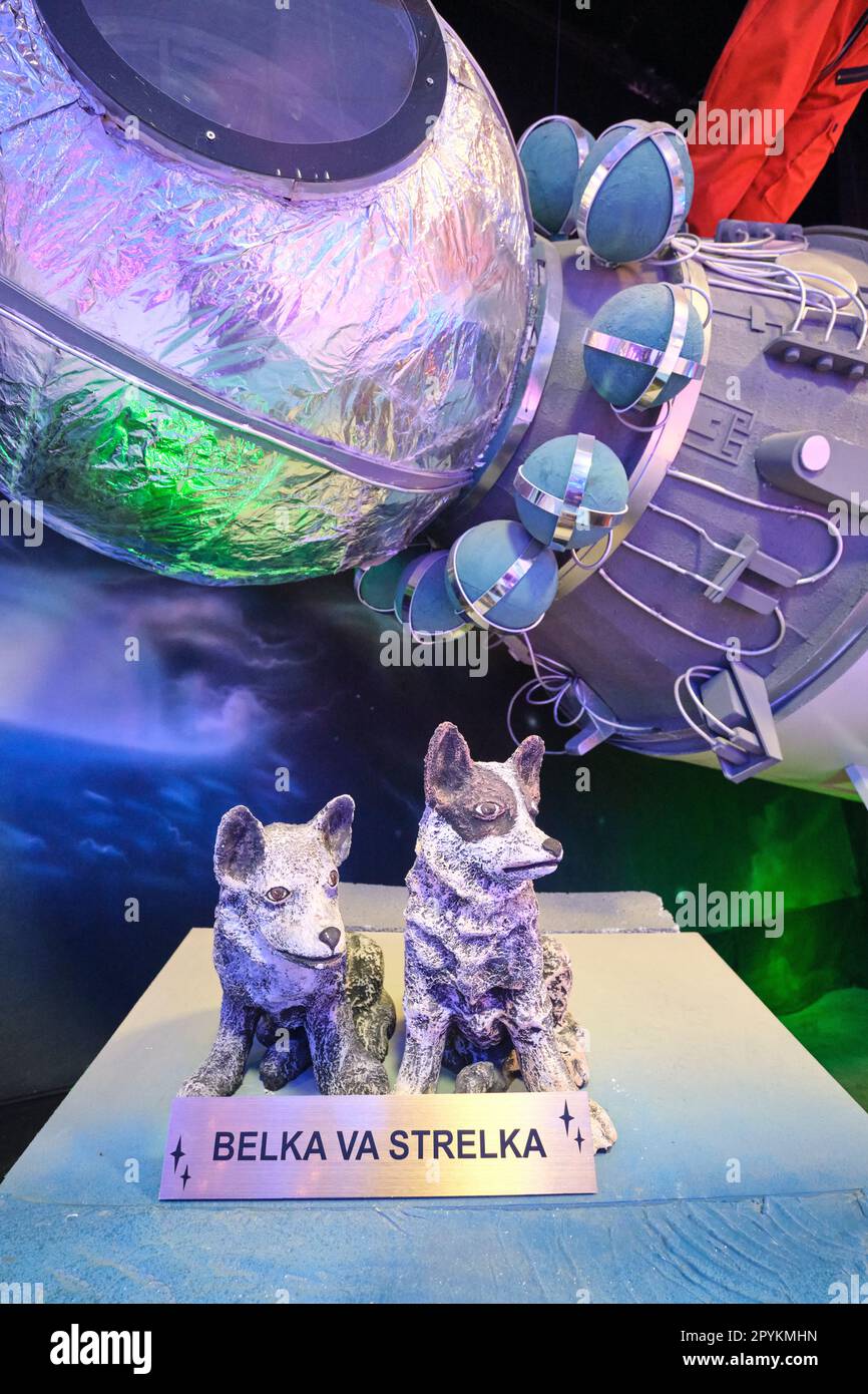 Little sculptures, statues of the famous Russian space dogs, Belka and Strelka. A diorama depicting the Soviet era space program at the Toshkent Plane Stock Photo