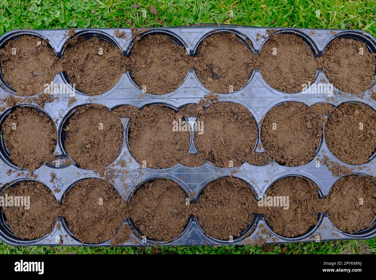 A seed tray with compost, ready for sowing seeds Stock Photo Alamy