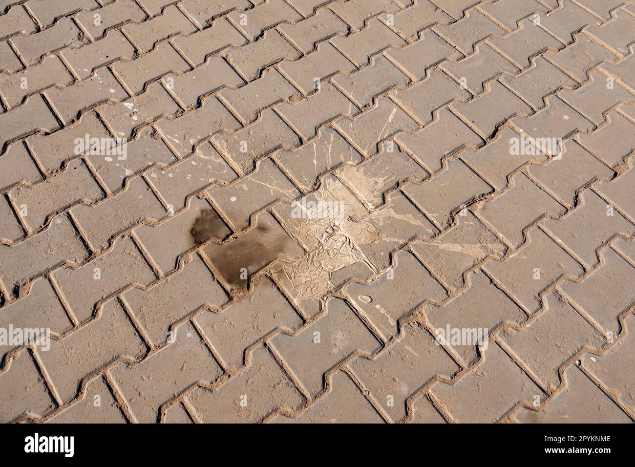 Interlocking small exterior paving stones with a large splatter of pale paint and dark stain Stock Photo