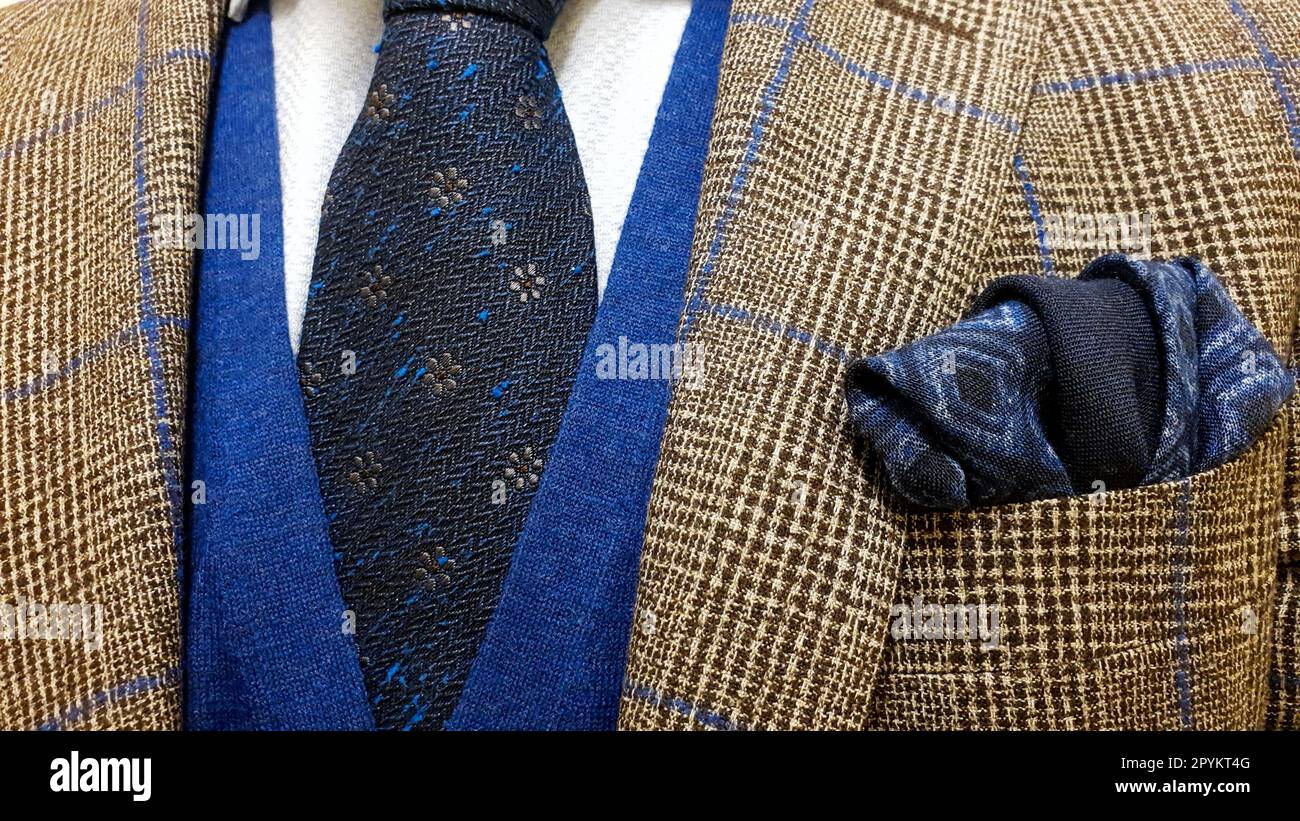 Elegant men's outfit, showcasing a brown checkered suit, a dark blue tie with floral pattern and a matching pocket square, accompanied by a blue sweat Stock Photo