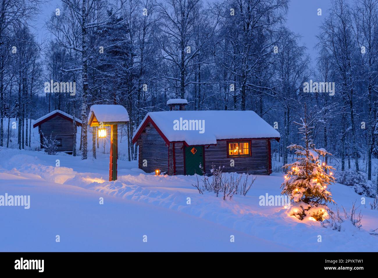 A log house with lit windows and Christmas tree in a snowy landscape