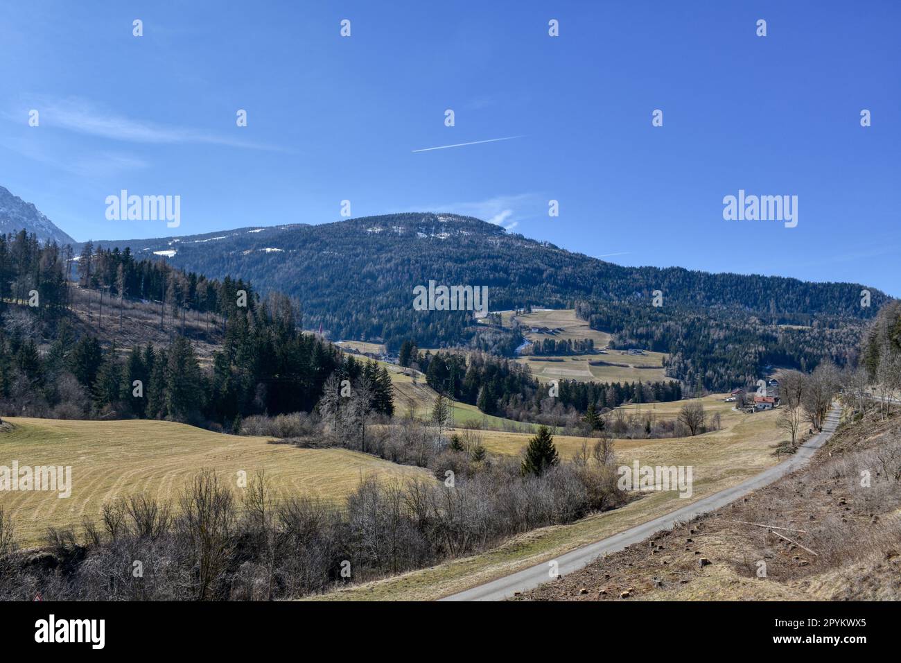 jobbörse südtirol pustertal