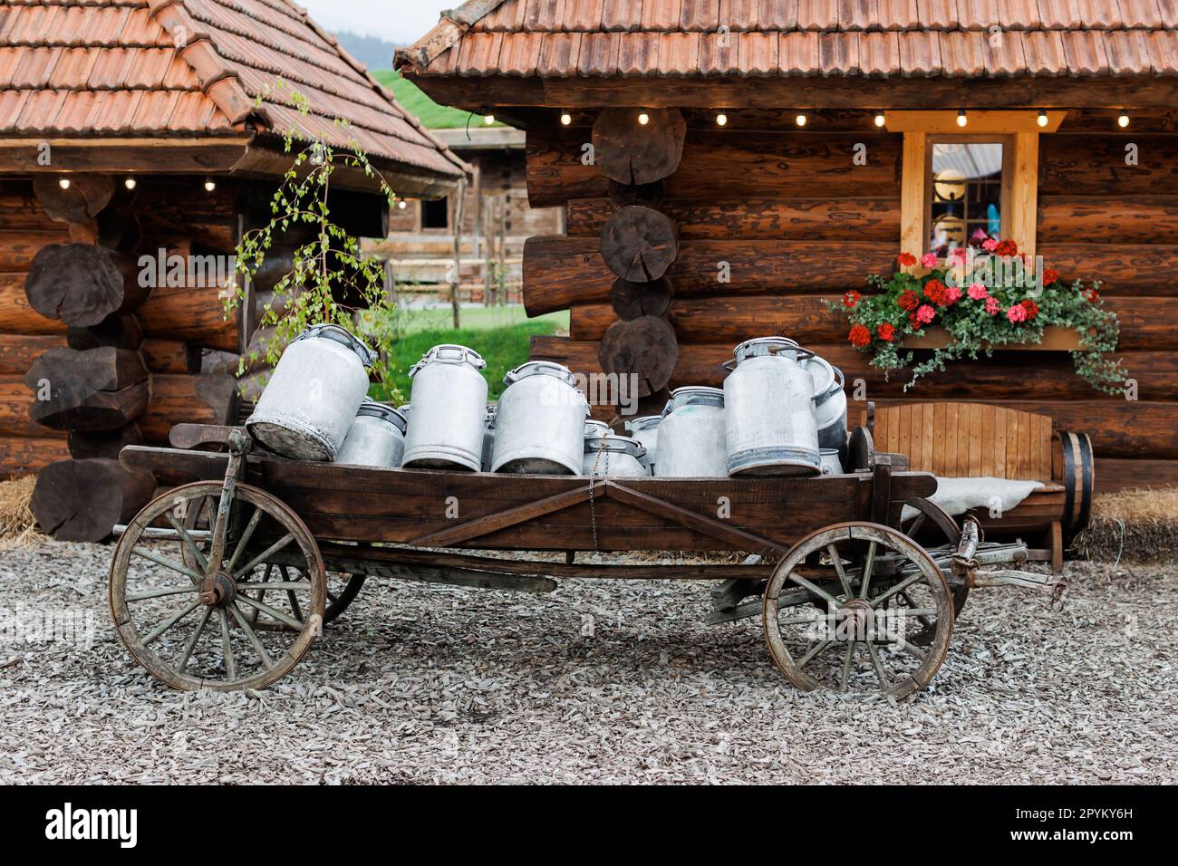 Old wooden cart with a lots of aluminium canisters used once a long time ago from the farmman to deliver the products near wooden houses in village... Stock Photo