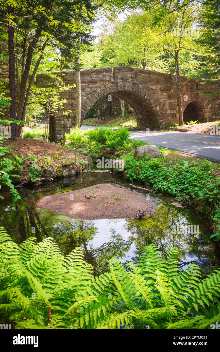 Acadia National Park in Maine Stock Photo Alamy