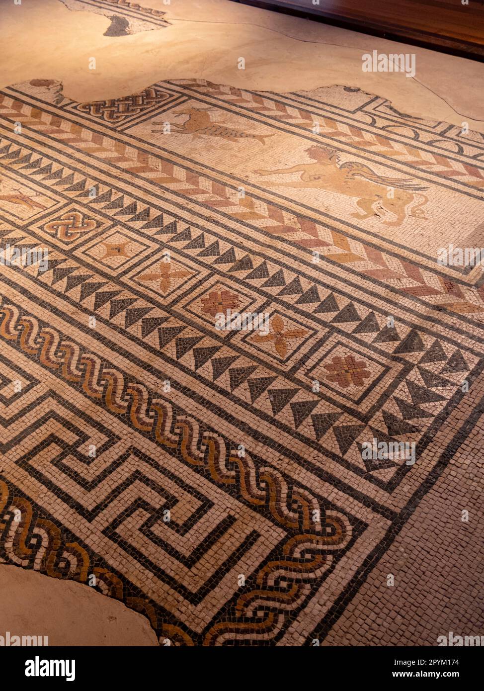 mosaicos romanos, Medinaceli, Soria,  comunidad autónoma de Castilla y León, Spain, Europe Stock Photo