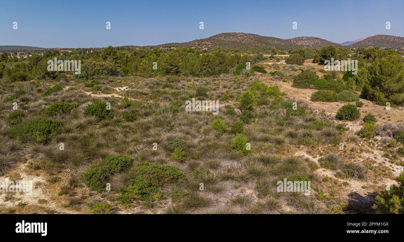 balsas de estabilizacion y recuperacion de zonas humedas de Magaluf, Calvia, Mallorca, Balearic Islands, Spain Stock Photo