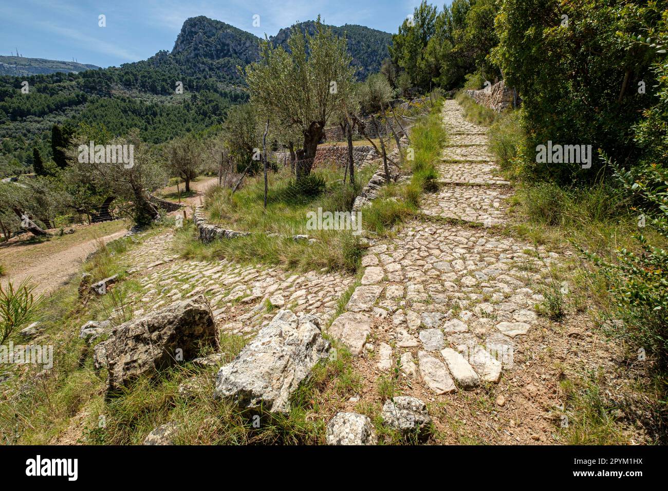 Camí des Monts-reials, valle de Soller, Mallorca, Balearic Islands, Spain Stock Photo