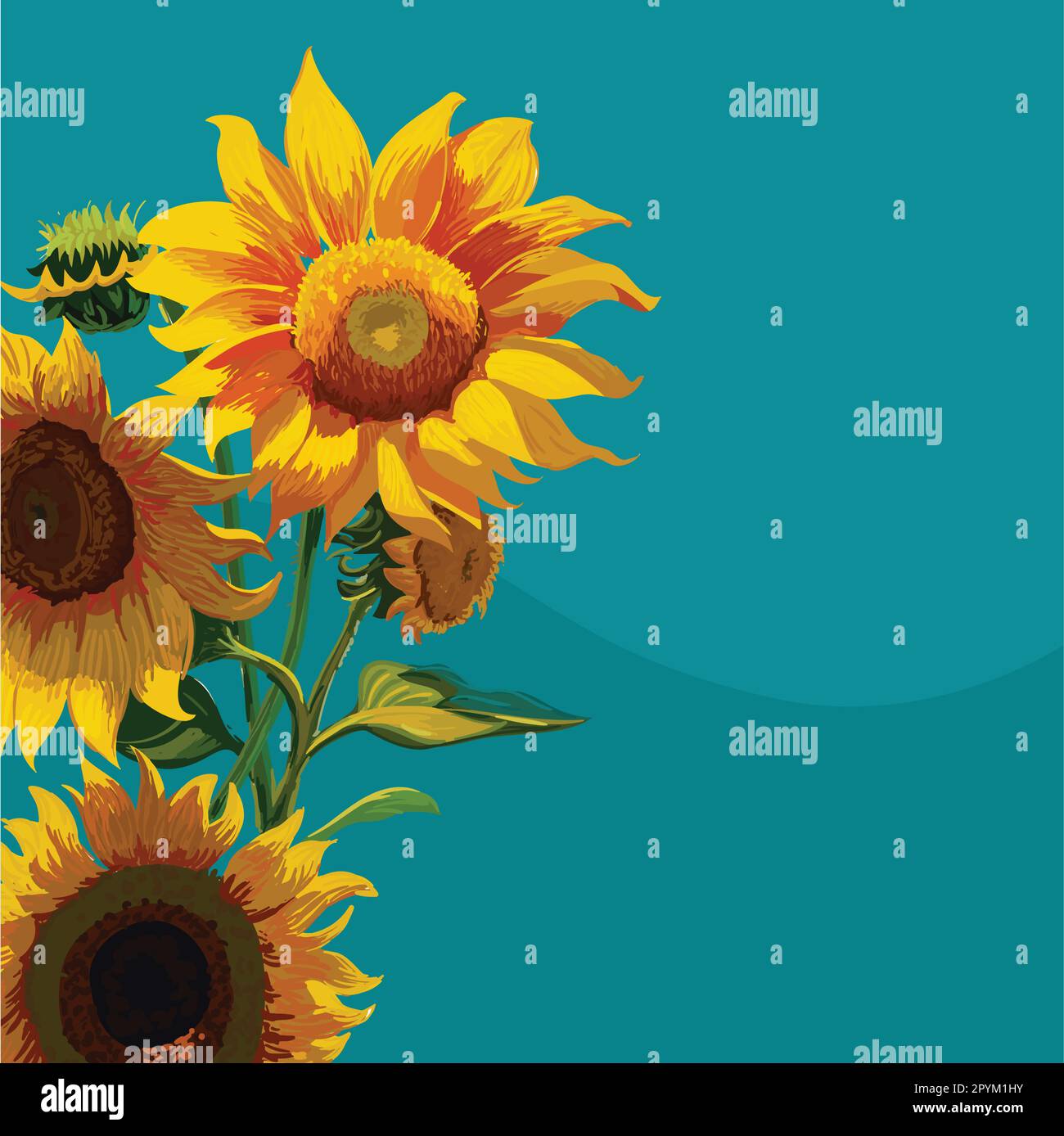 Hand drawn garden sunflower hires stock photography and images Alamy