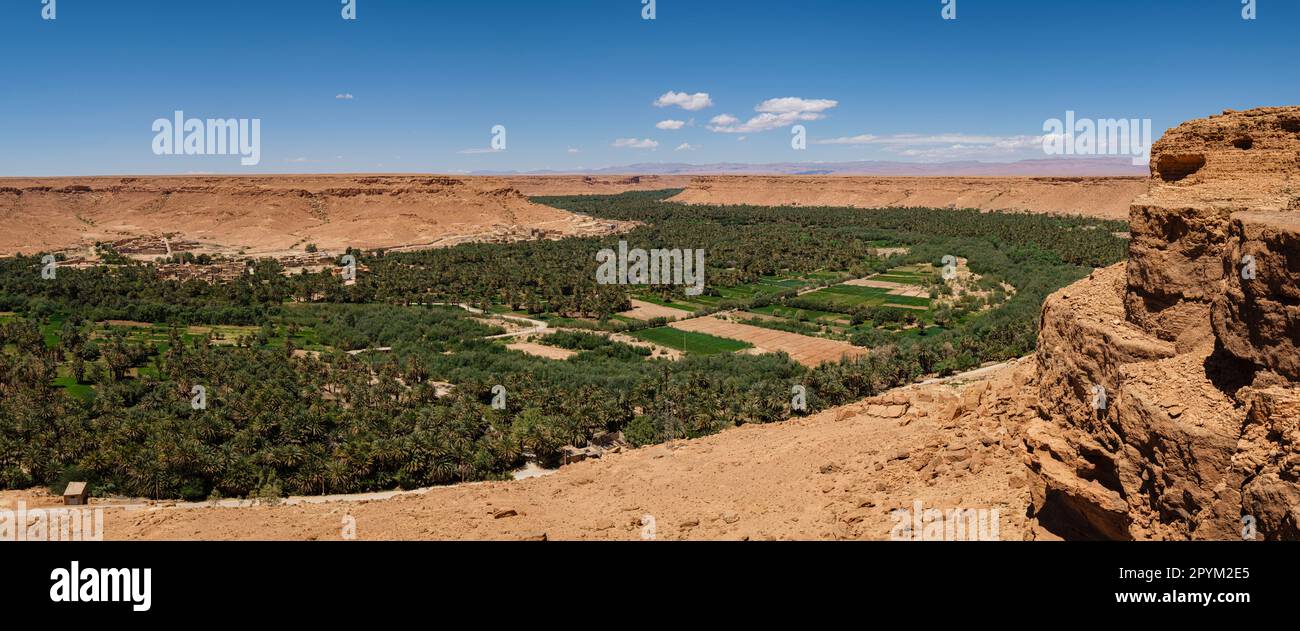 great panoramic view of the palm grove of Tafilalet, valley of the river Ziz, Morocco, Africa Stock Photo