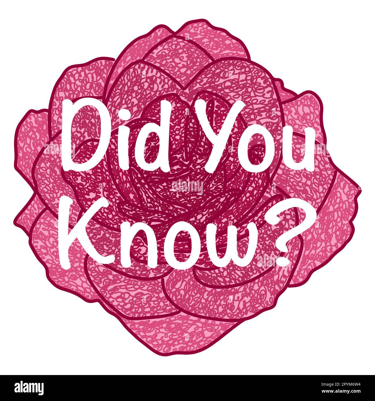 Did You Know Flower Pink Sketch White Text Isolated Stock Photo