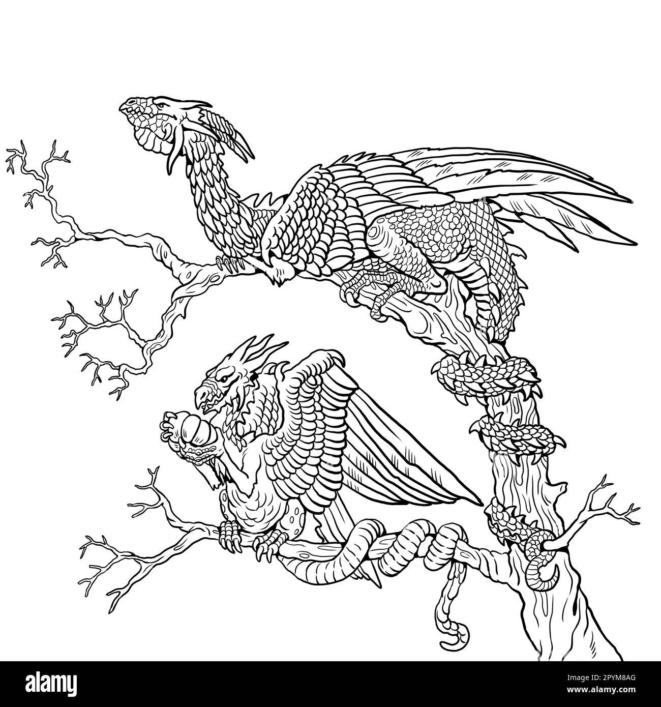 Dragon family coloring page. Fantasy illustration with mythical creature. Mama dragon with her child coloring sheet. Stock Photo