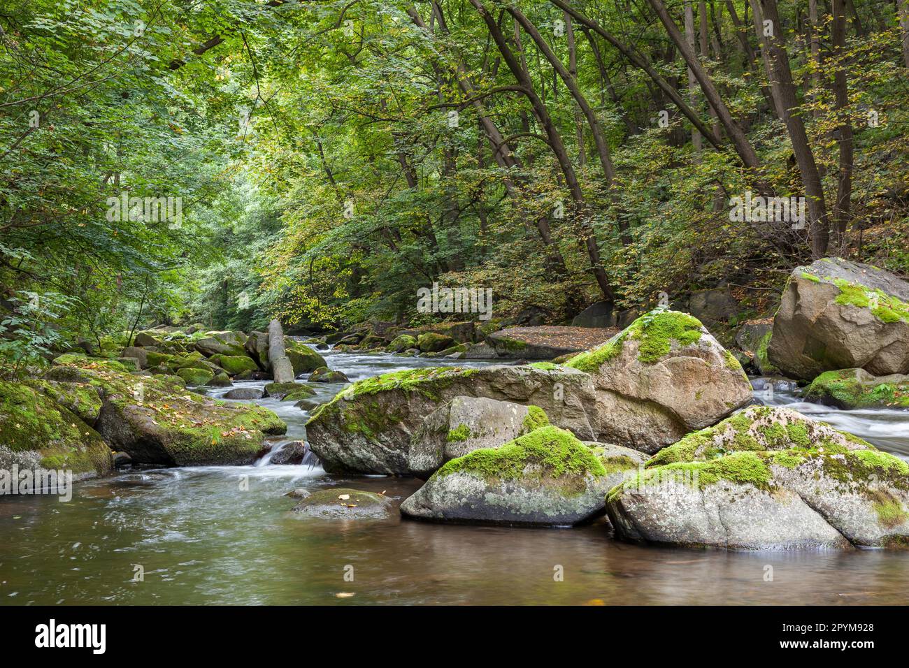 Bodetal Bode Hiker's Paradise Stock Photo