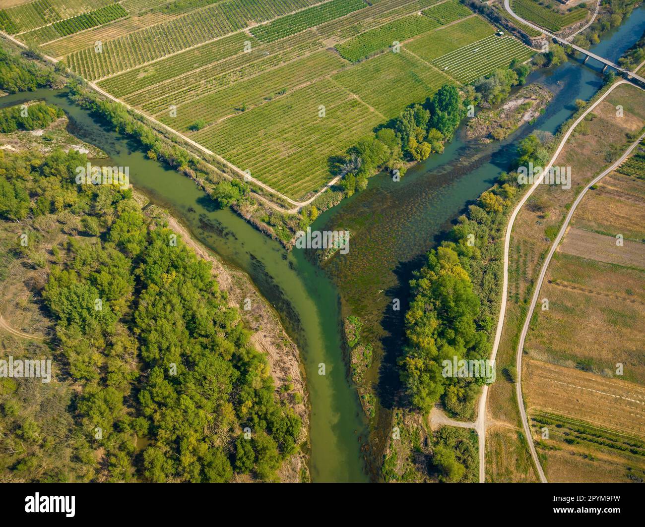 Aerial view of the confluence between the rivers Segre, Cinca and Ebro in spring (Segrià, Lleida, Catalonia, Spain) Stock Photo