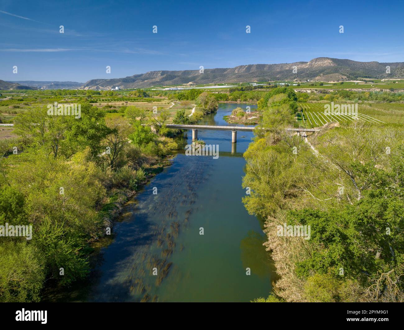 Aerial view of the confluence between the rivers Segre, Cinca and Ebro in spring (Segrià, Lleida, Catalonia, Spain) Stock Photo