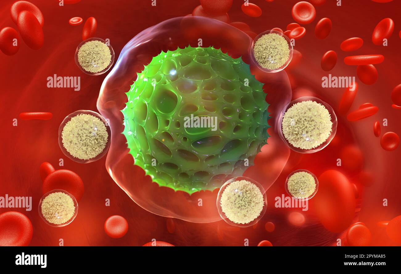 Leukocytes attack the virus. Immunity of the body. Fight against pneumonia. 3D illustration on medical research Stock Photo