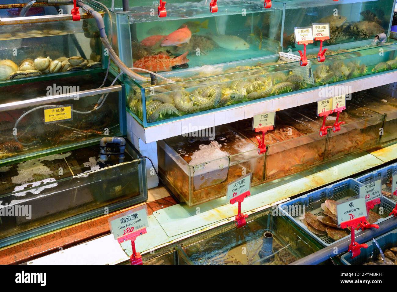 Fresh, live seafood and fish, seafood restaurants, harbour, Lamma