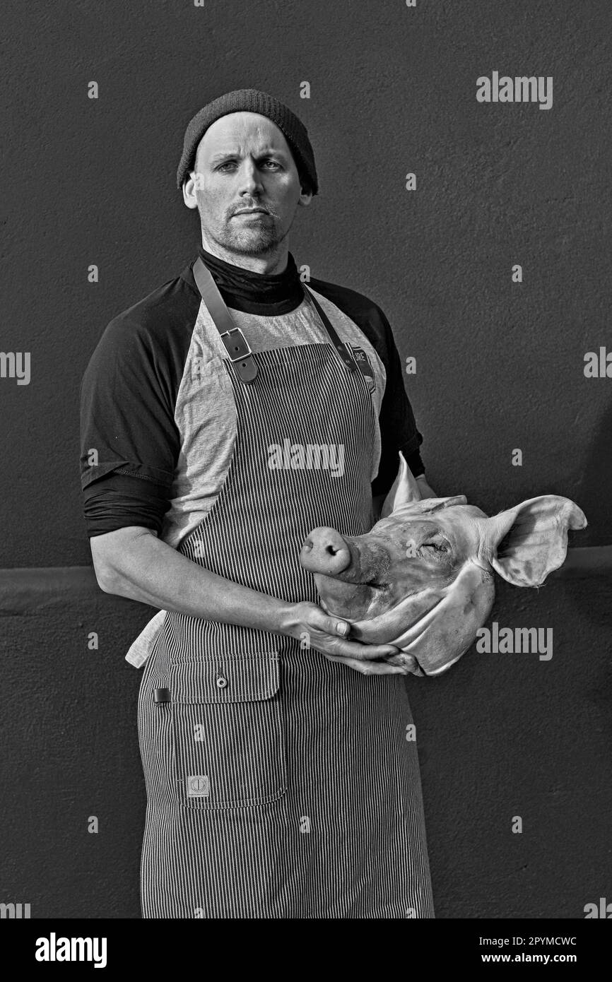 Butcher holding a pigs head .Pig in a Day, One-day butchery coursePig in a Day, One-day butchery course Stock Photo