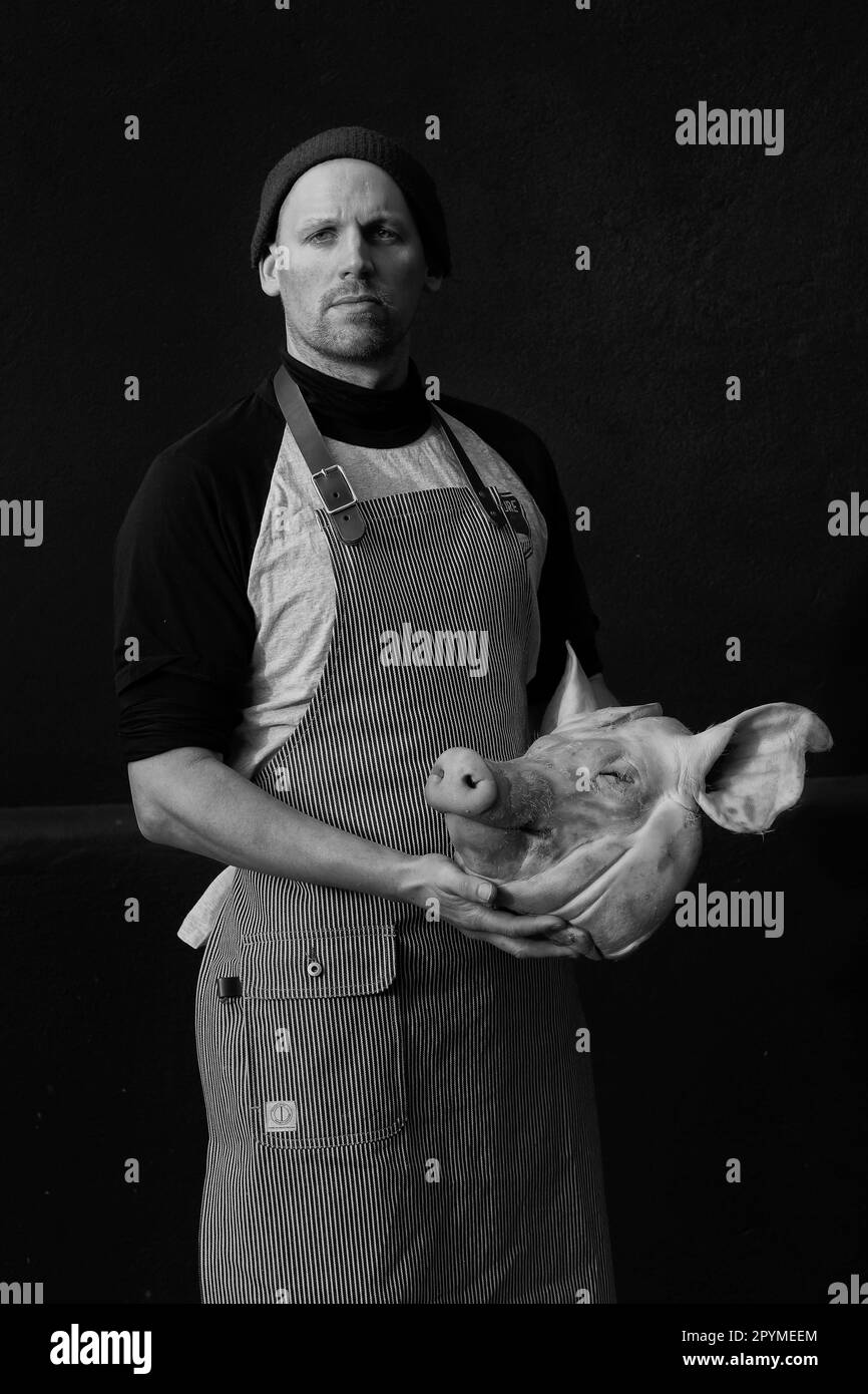 Butcher holding a pigs head black background.Pig in a Day, One-day butchery course Stock Photo
