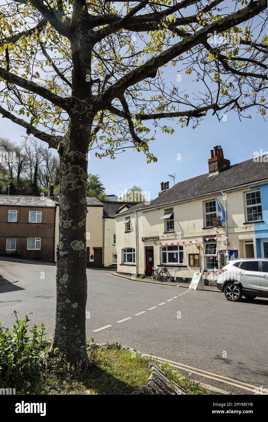 Upright image of The Millbrook Charity Shop at West Quay, with houses
