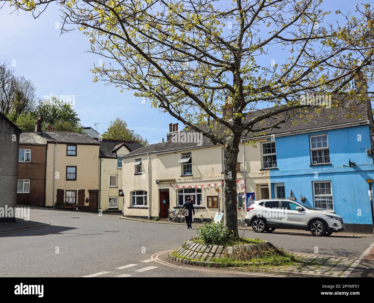The Millbrook Charity Shop at West Quay, with houses at King Street beyond. Spring tree provides