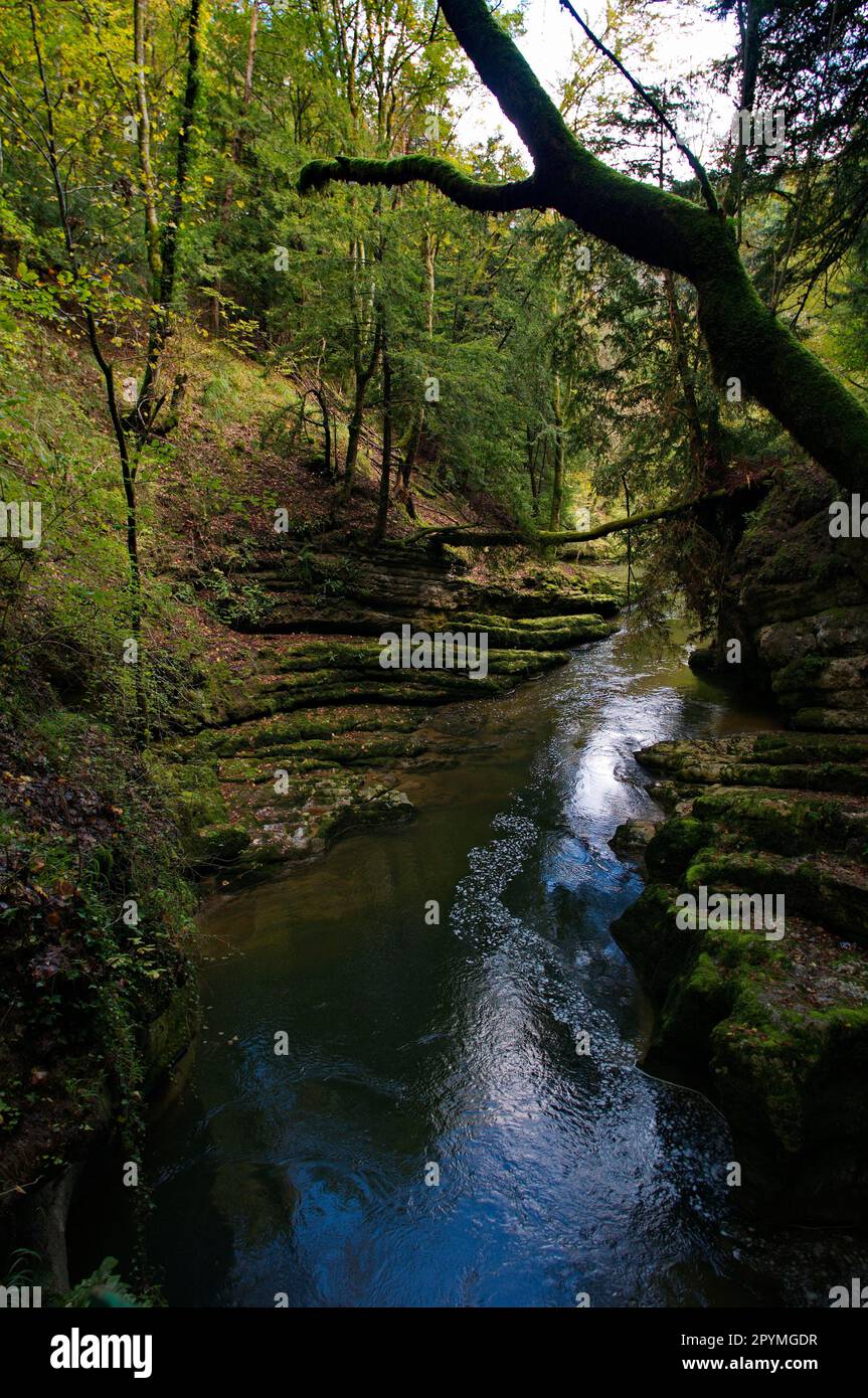 Areuse Gorge, Swiss Jura, Switzerland Stock Photo - Alamy