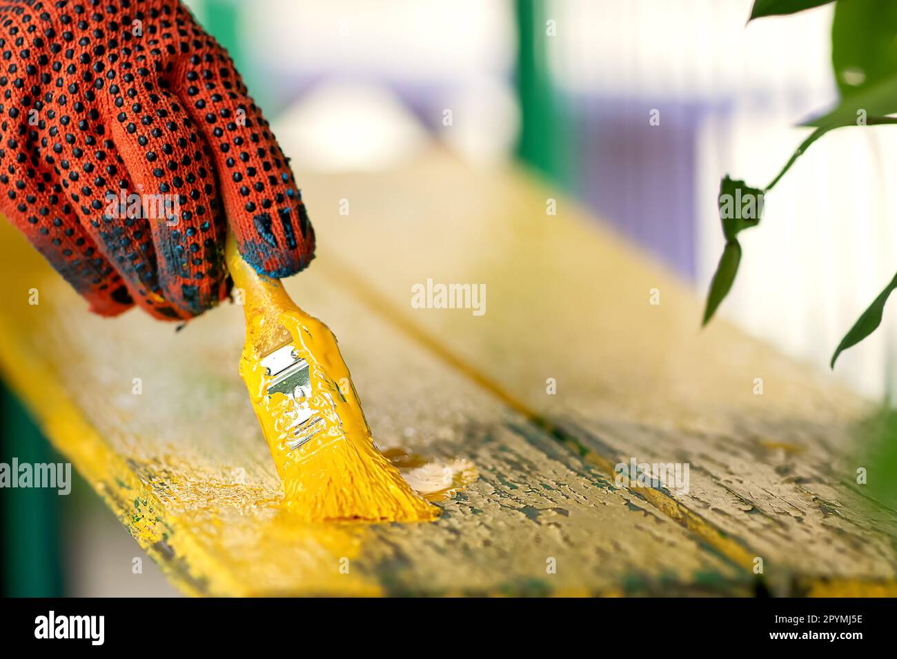a person holds a brush with, yellow paint, on a wooden surface, repairs are carried out outdoors on the playground, the painter's hands are protected. Stock Photo