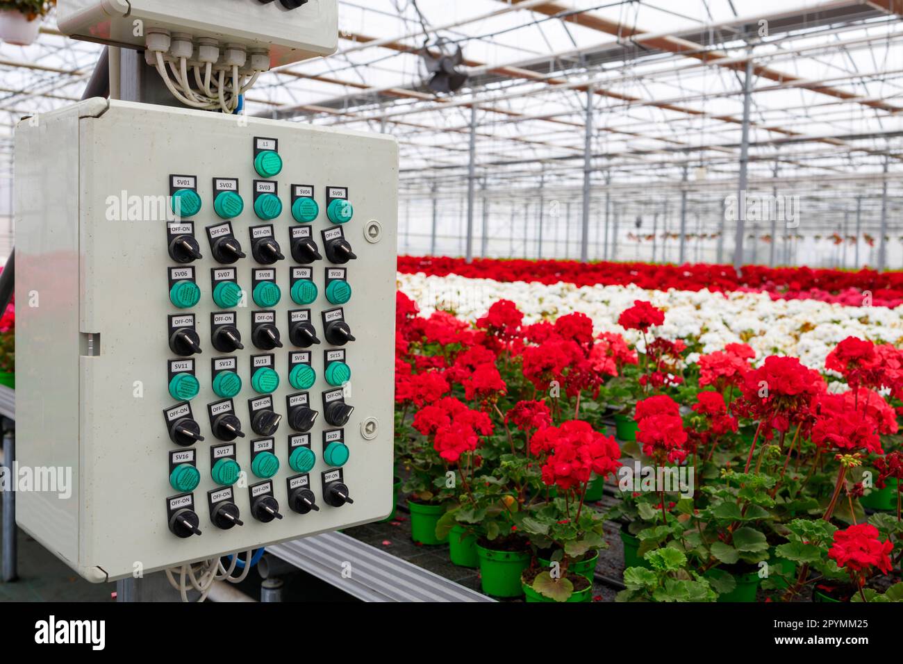Electrical irrigation control panel in a modern greenhouse for growing