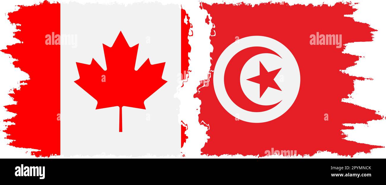 Stunning Canada Vs Tunisia: Friendlies Stats & Head-to-head Moment for Your Screen Stunning Canada Vs Tunisia: Friendlies Stats & Head-to-head Moment for Your Screen
