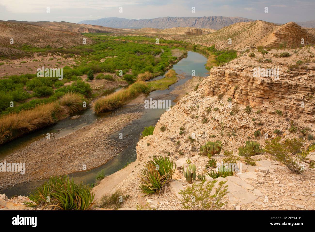 Rio Grande River from Hot Springs Canyon Trail, Big Bend National Park, Texas Stock Photo