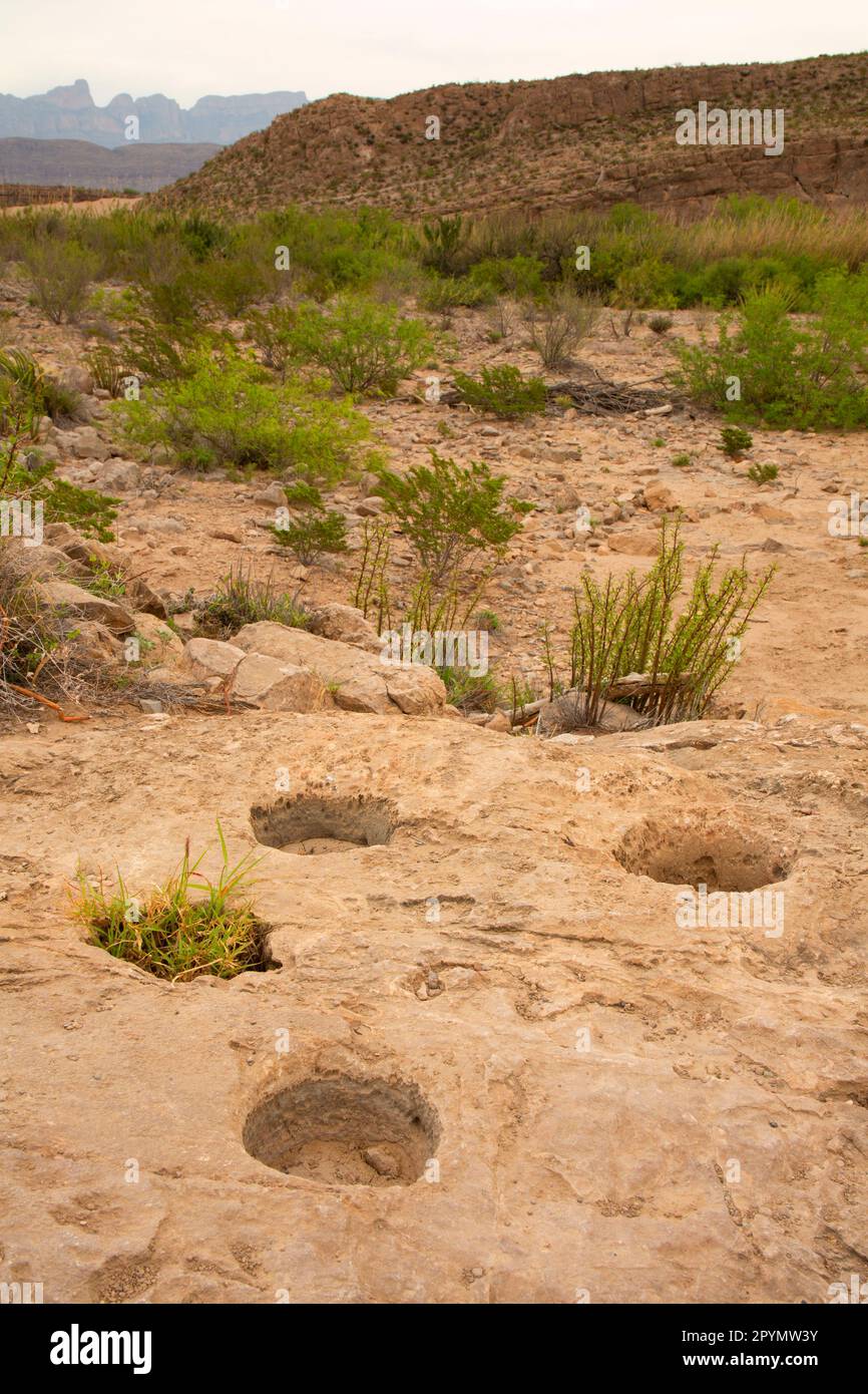 Native American mortars along Rio Grande Village Nature Trail, Big Bend ...