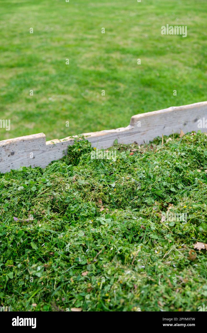 Grass cuttings in a large wooden recycling box Stock Photo Alamy