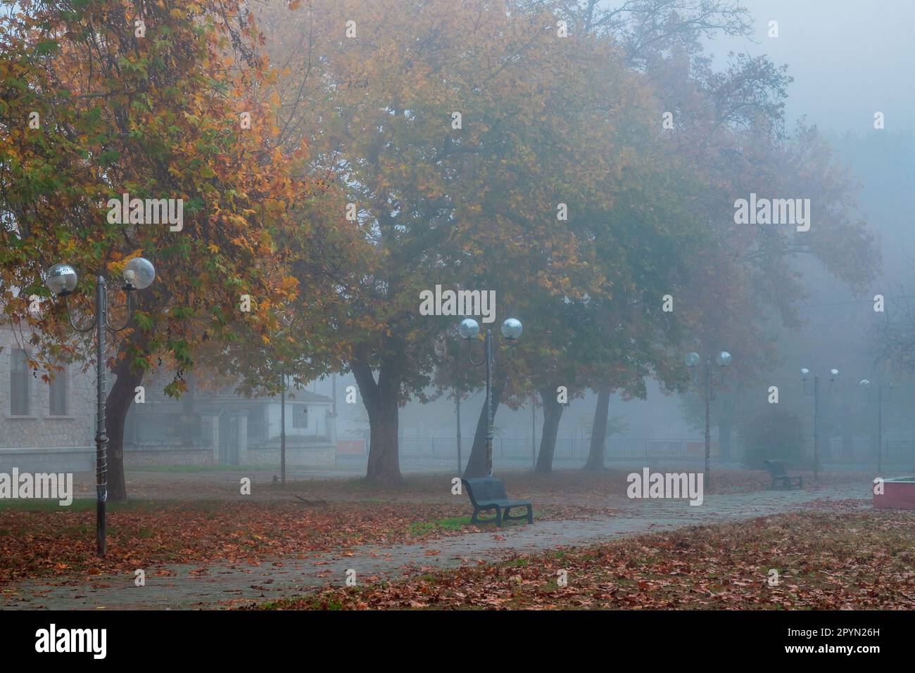 Foggy day in Ambelonas town, Tyrnavos Municipality, Larissa, Thessaly, Greece. Stock Photo