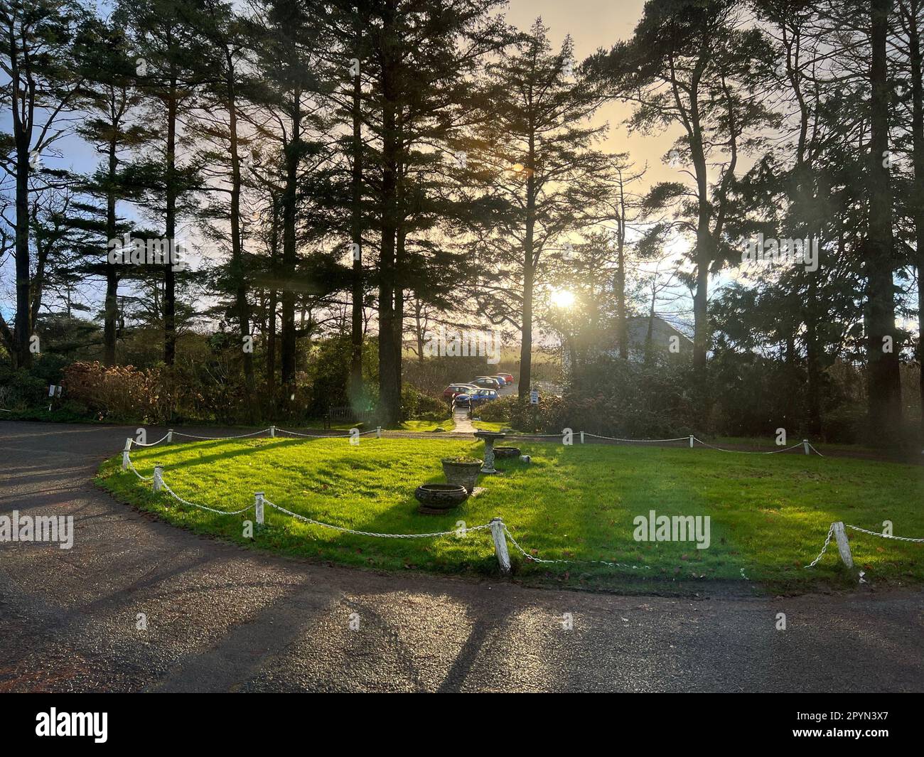 Serene park setting featuring hi-res stock photography and images - Alamy