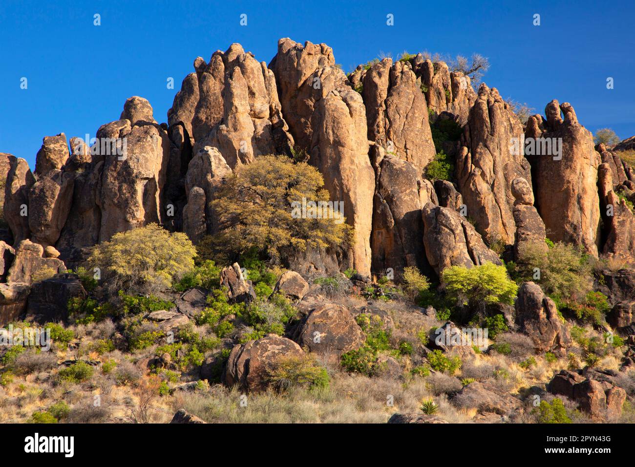 North Ridge outcrops, Fort Davis National Historic Site, Texas Stock ...