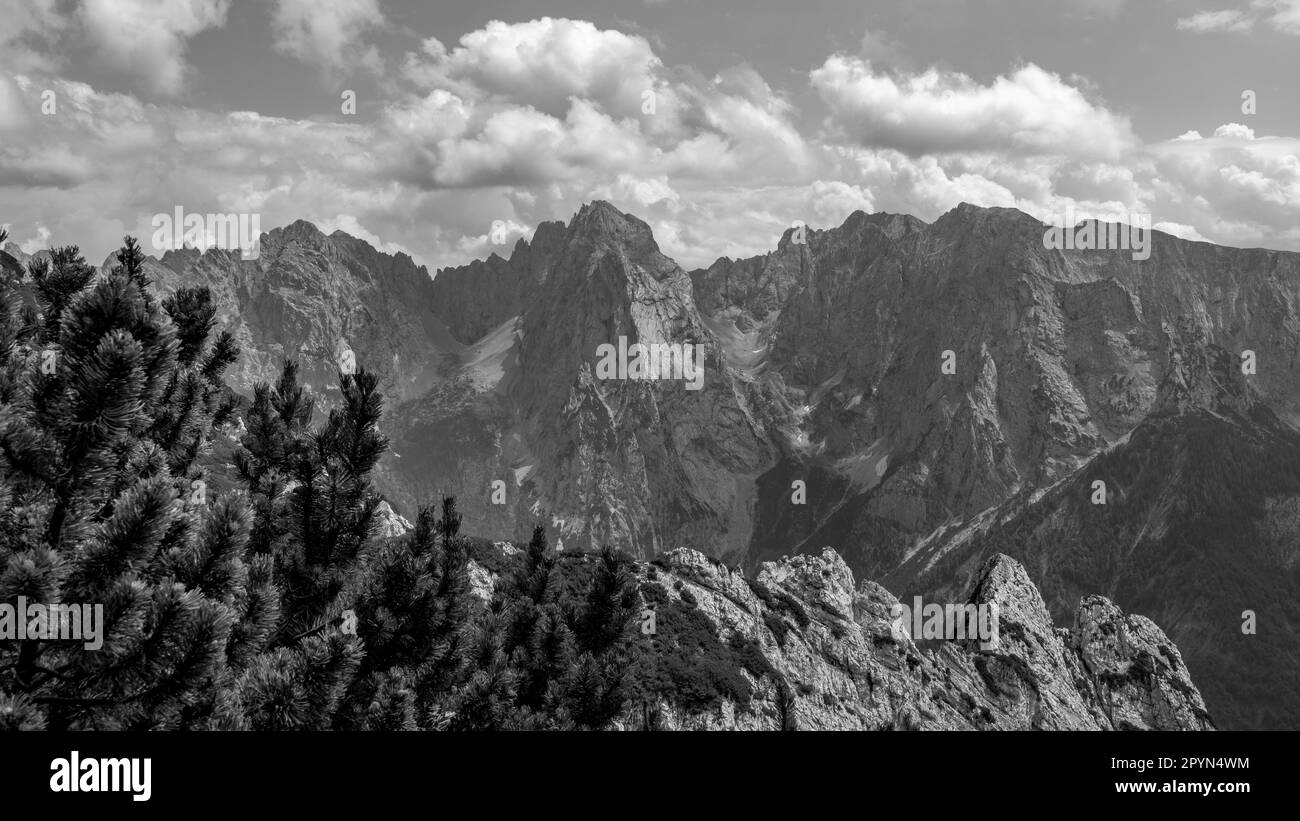 wilder kaiser 17 3 17 st patricks day