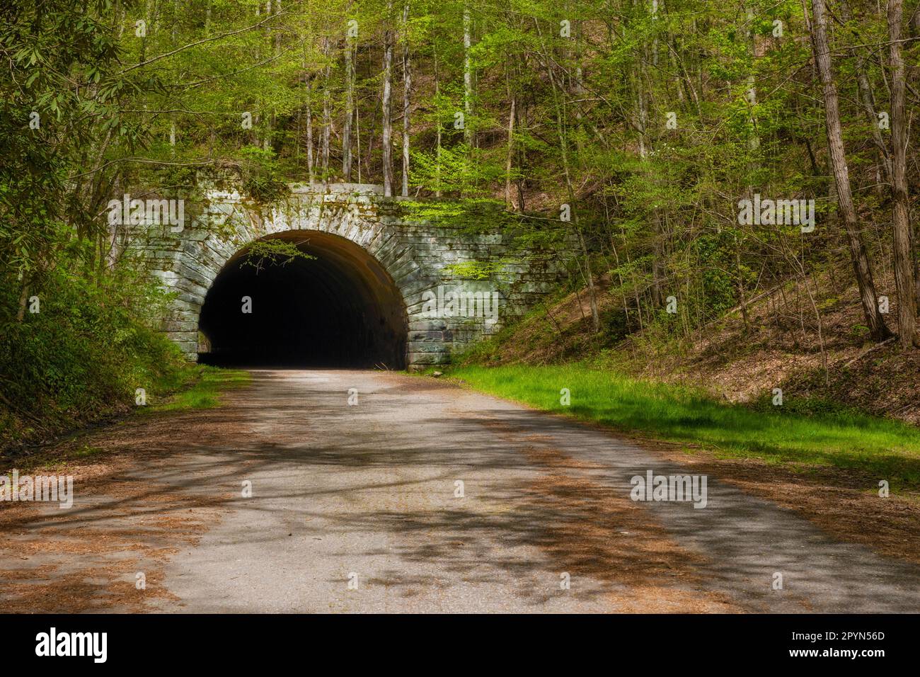 A tunnel at the end of The Road to Nowhere in the Great Smoky Mountains near Bryson, City, NC. Stock Photo