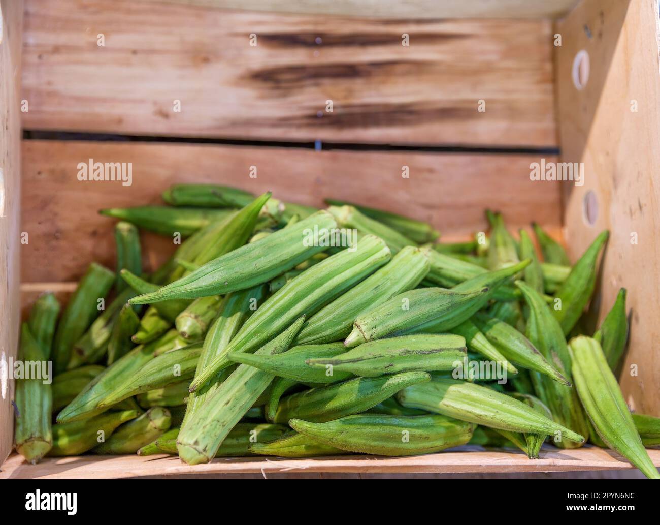 Vegtable crate hires stock photography and images Alamy