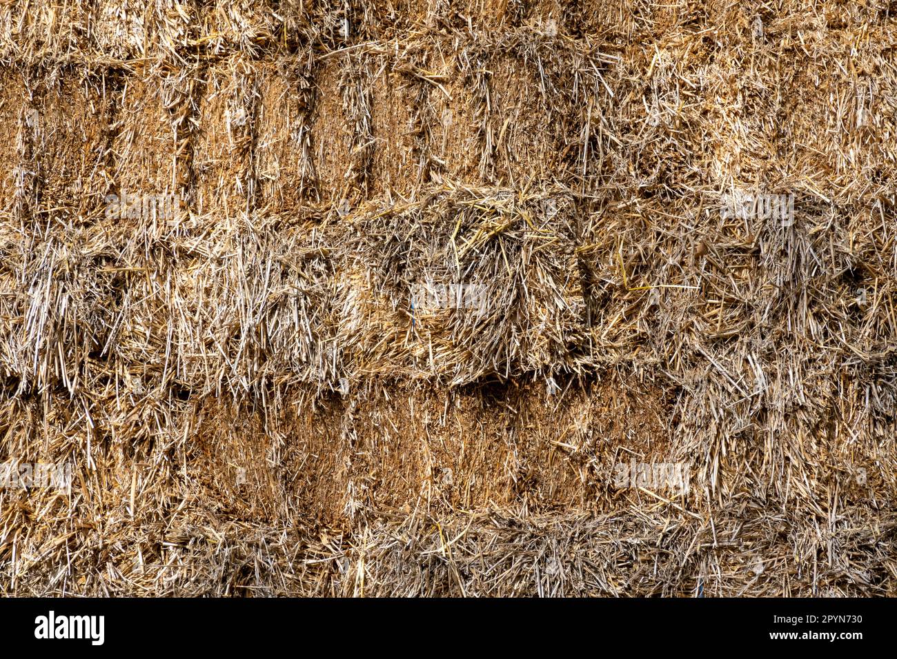 Hay bales of dried grass stacked up, feed for livestock, Netherlands Stock Photo