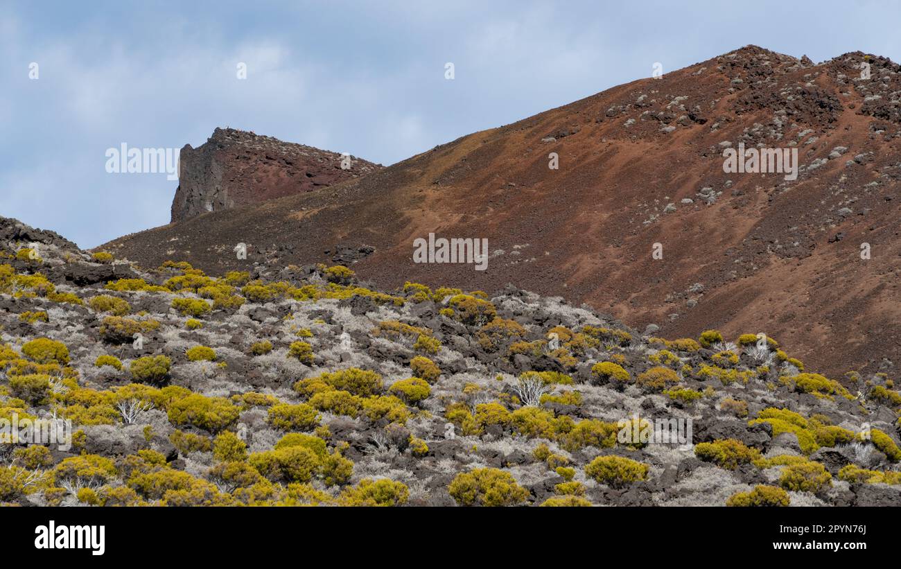 Hiking the Piton des Neiges (Snow Peak), a massive shield volcano on