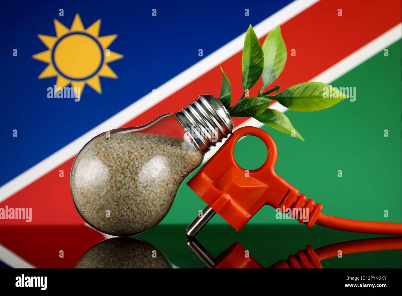 Plug, plant growing inside the light bulb and Namibia Flag. Green eco