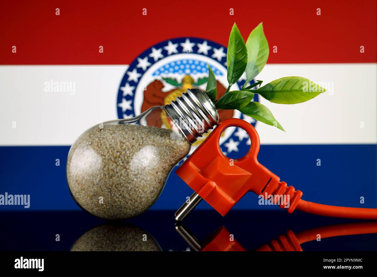 Plug, plant growing inside the light bulb and Missouri State Flag