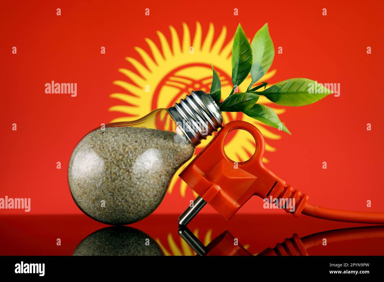 Plug, plant growing inside the light bulb and Kyrgyzstan Flag. Green