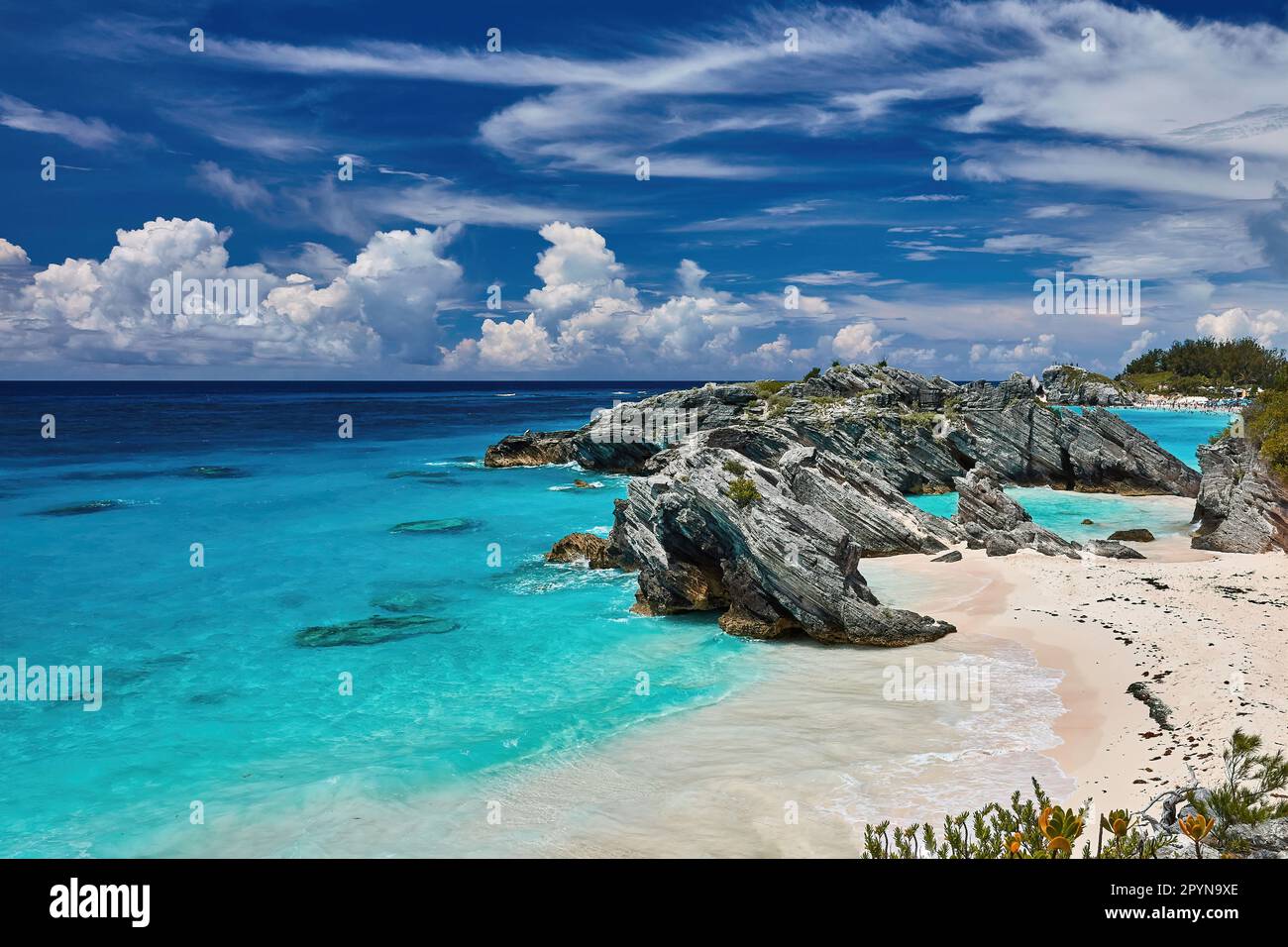 Horseshoe Bay Beach Bermuda Stock Photo Alamy